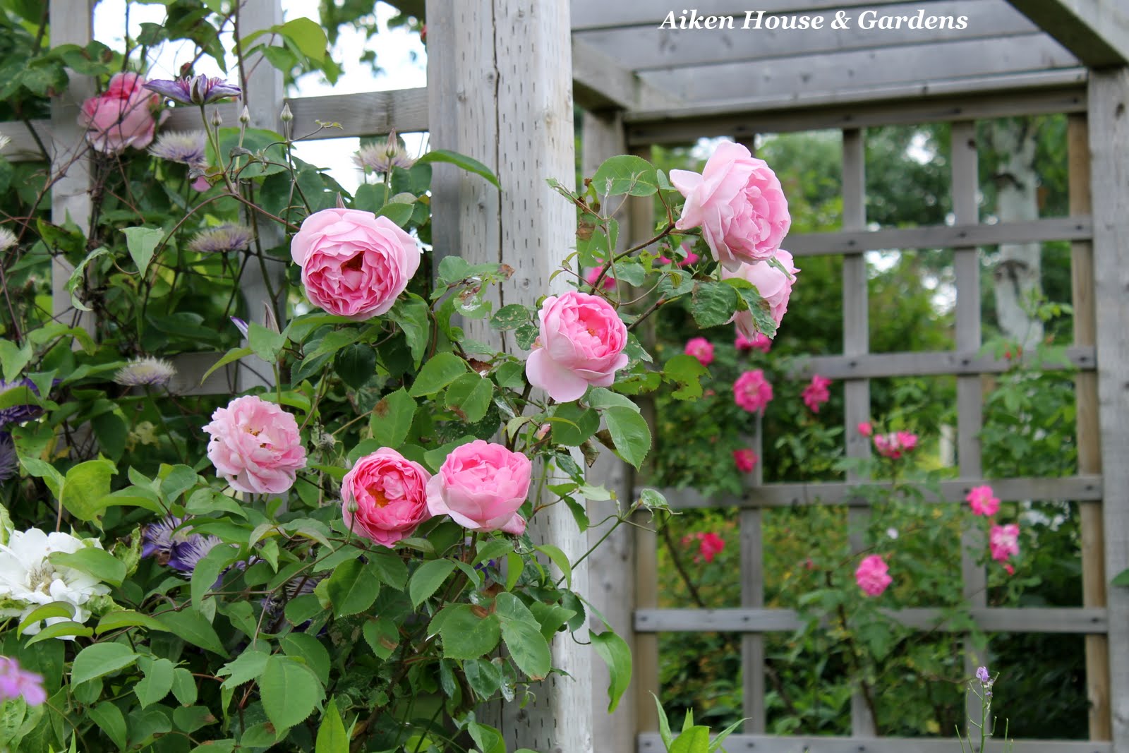 Romantic Wedding Ideas Https