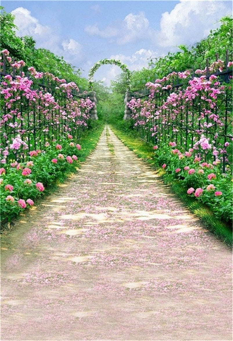 Strawberry Vanilla Hydrangeas