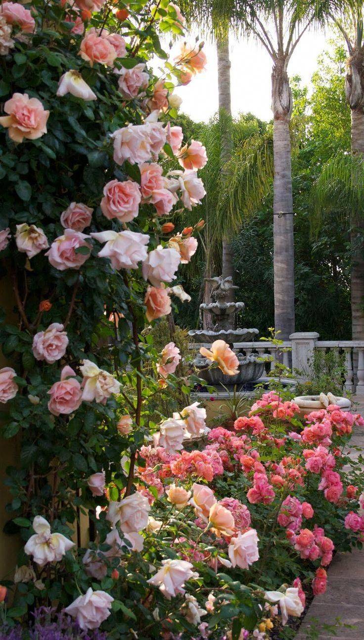 Beautiful Rose Arbor Rose Garden Design