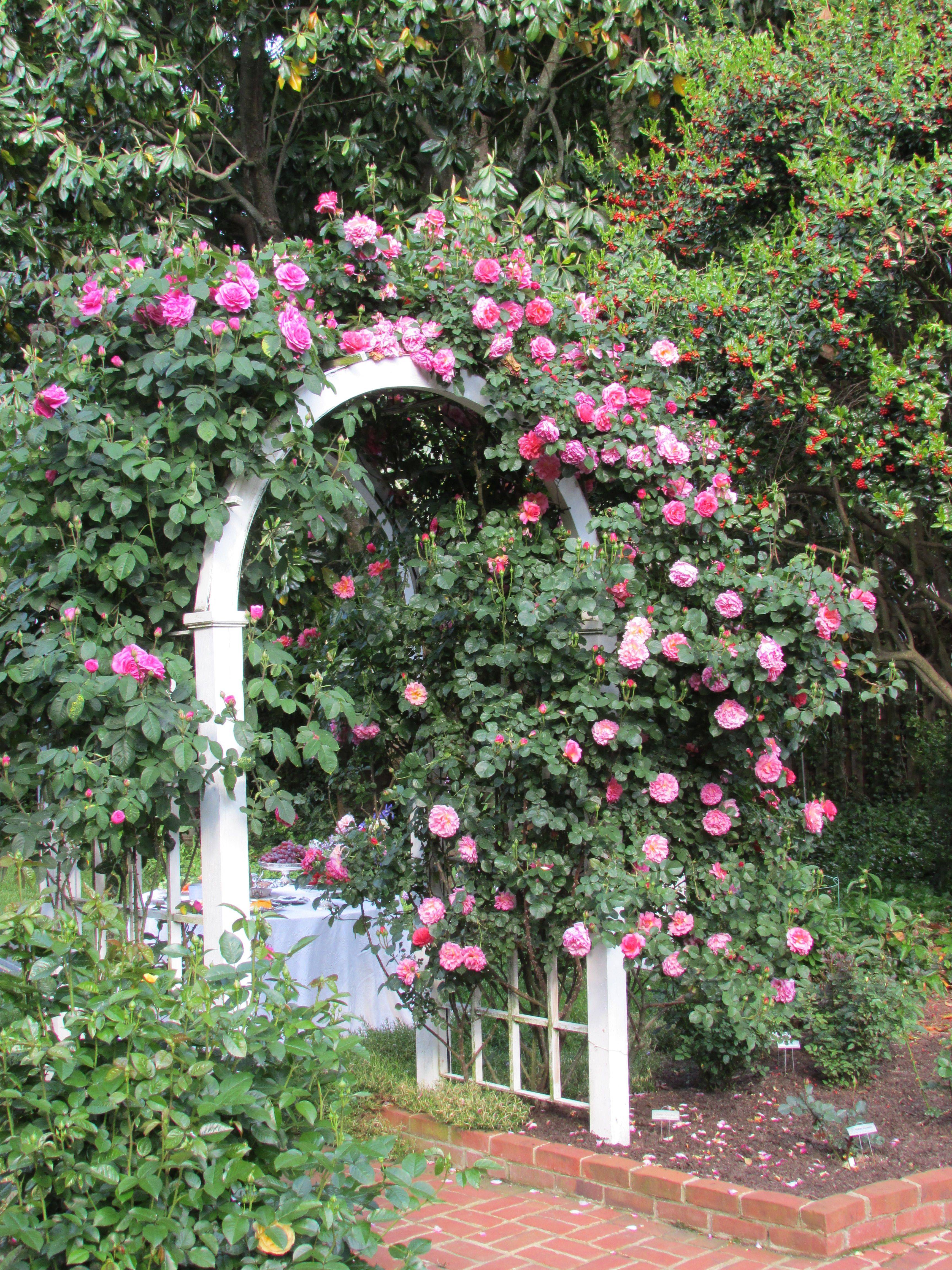 Garden Design Basics