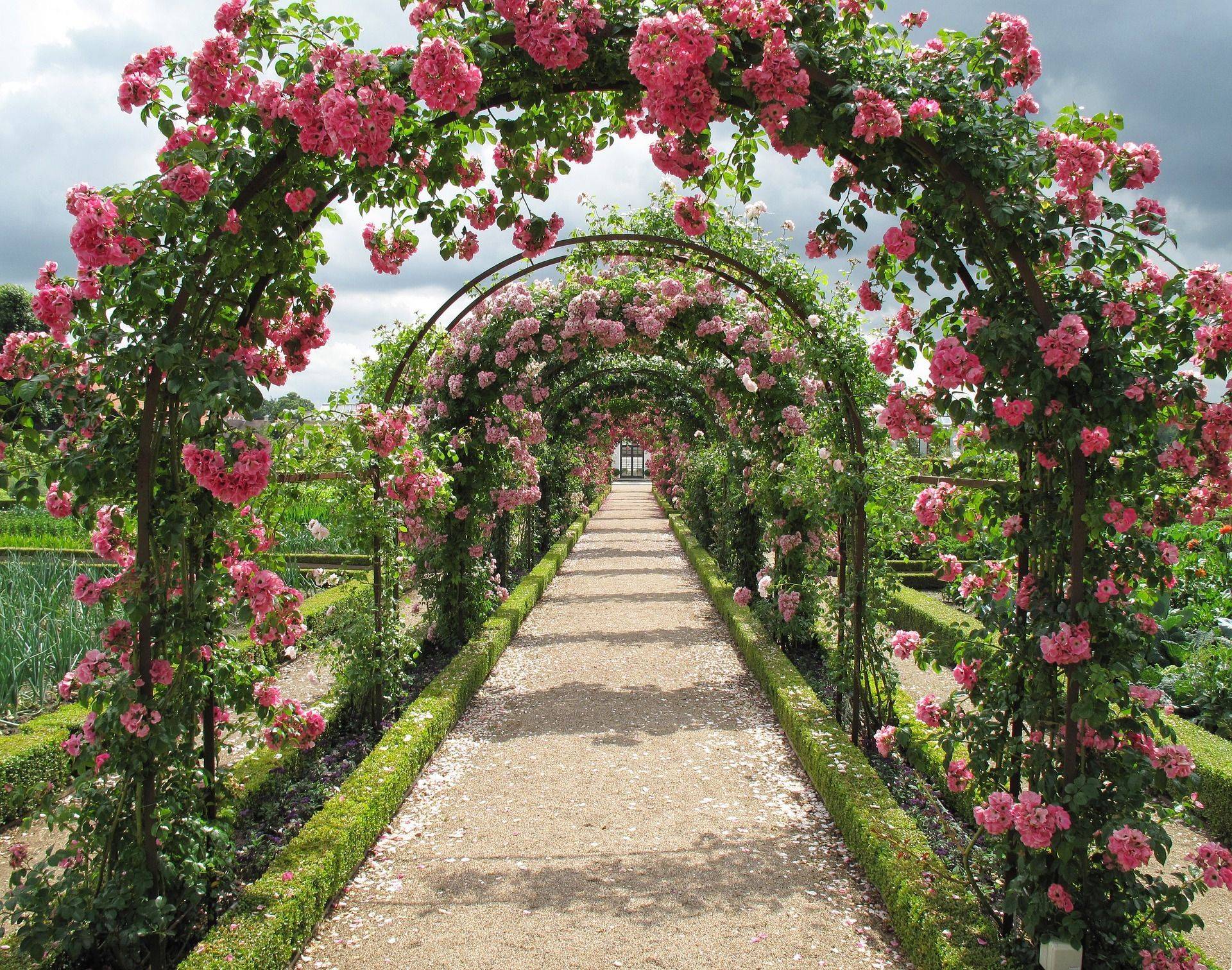 Outdoor Landscape Garden Arches