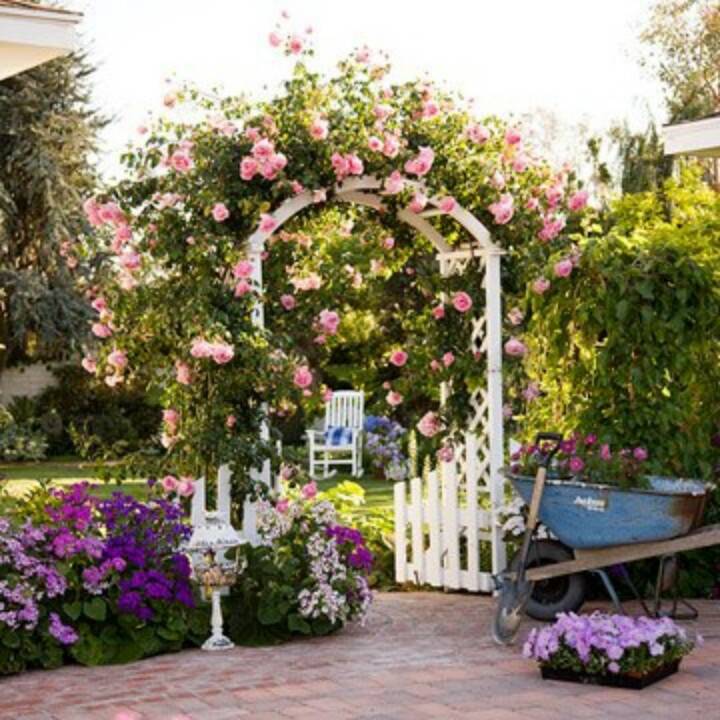 Rose Garden