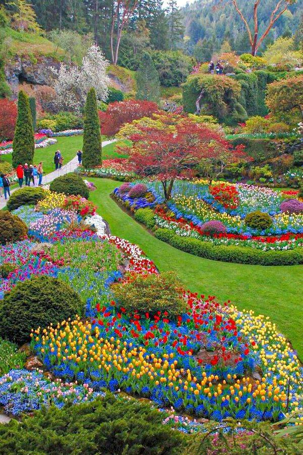 Incredible Beautiful Garden Design Ideas