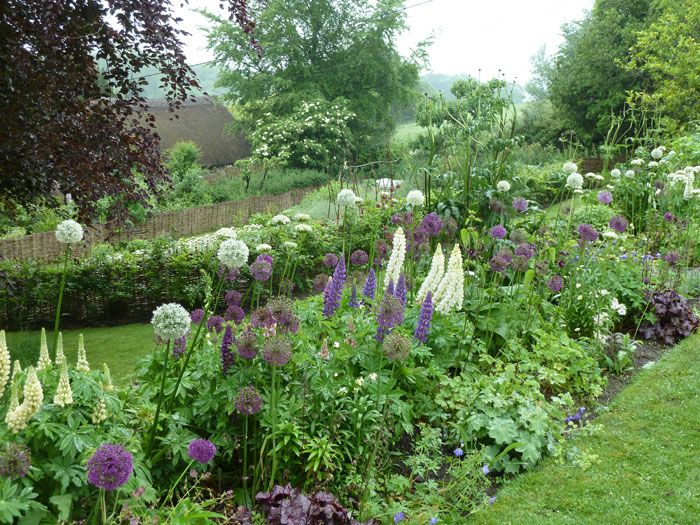 Our Atlanta Botanical Gardens Adventures