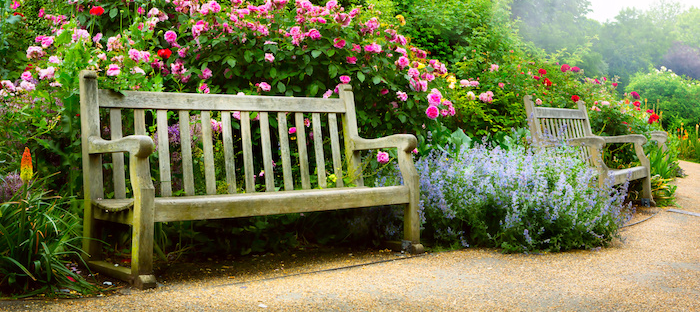 Beautiful Garden Bench