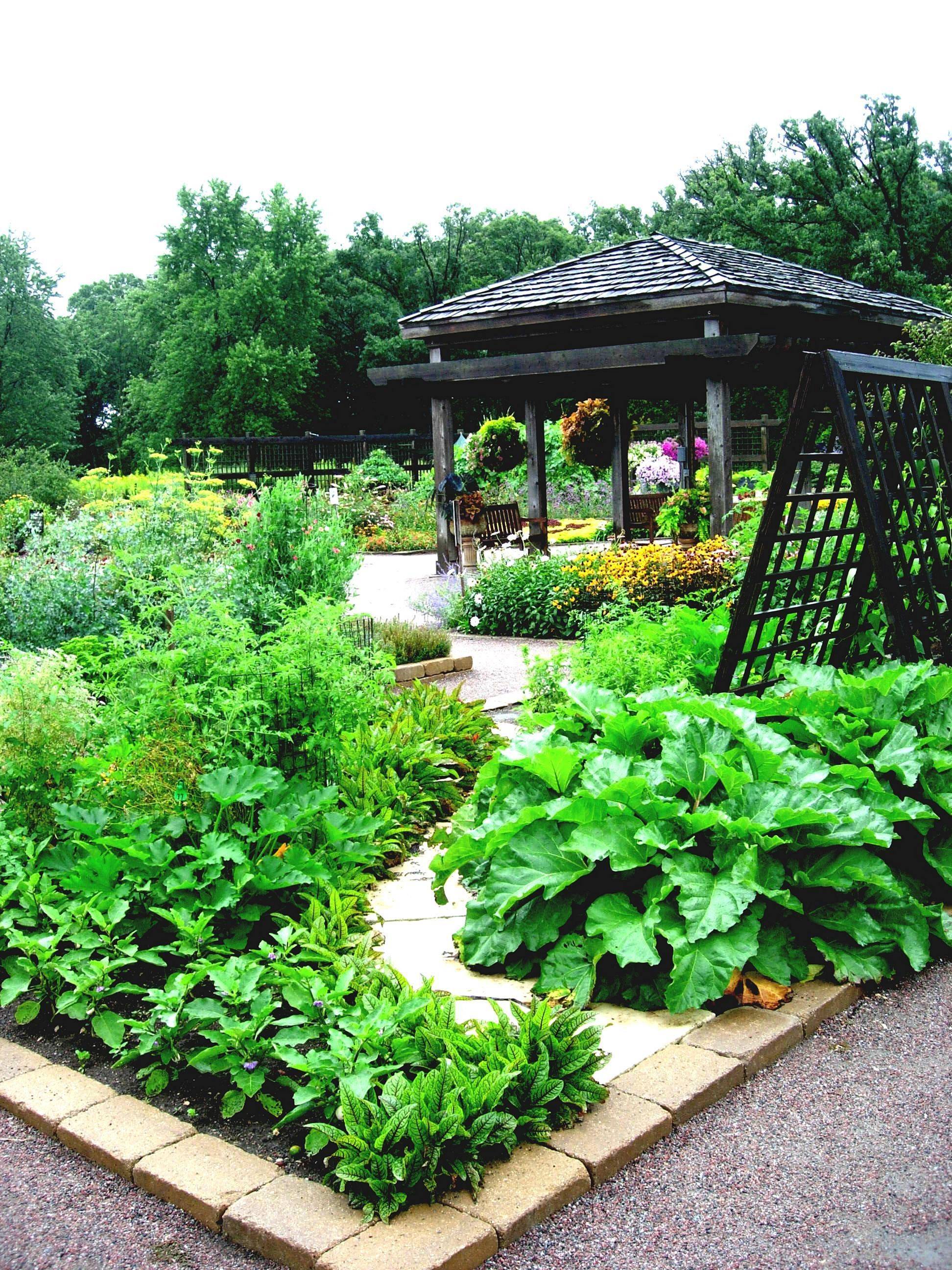 Best Vegetable Garden Ideas