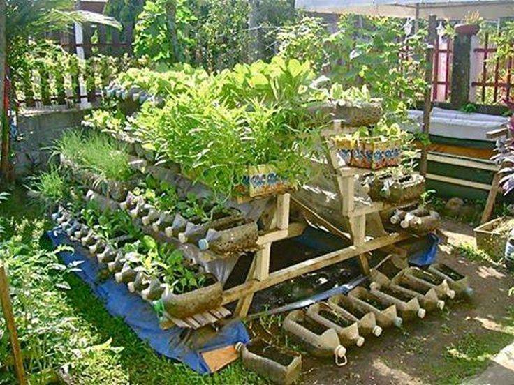 Vertical Expansion Vertical Vegetable Gardens