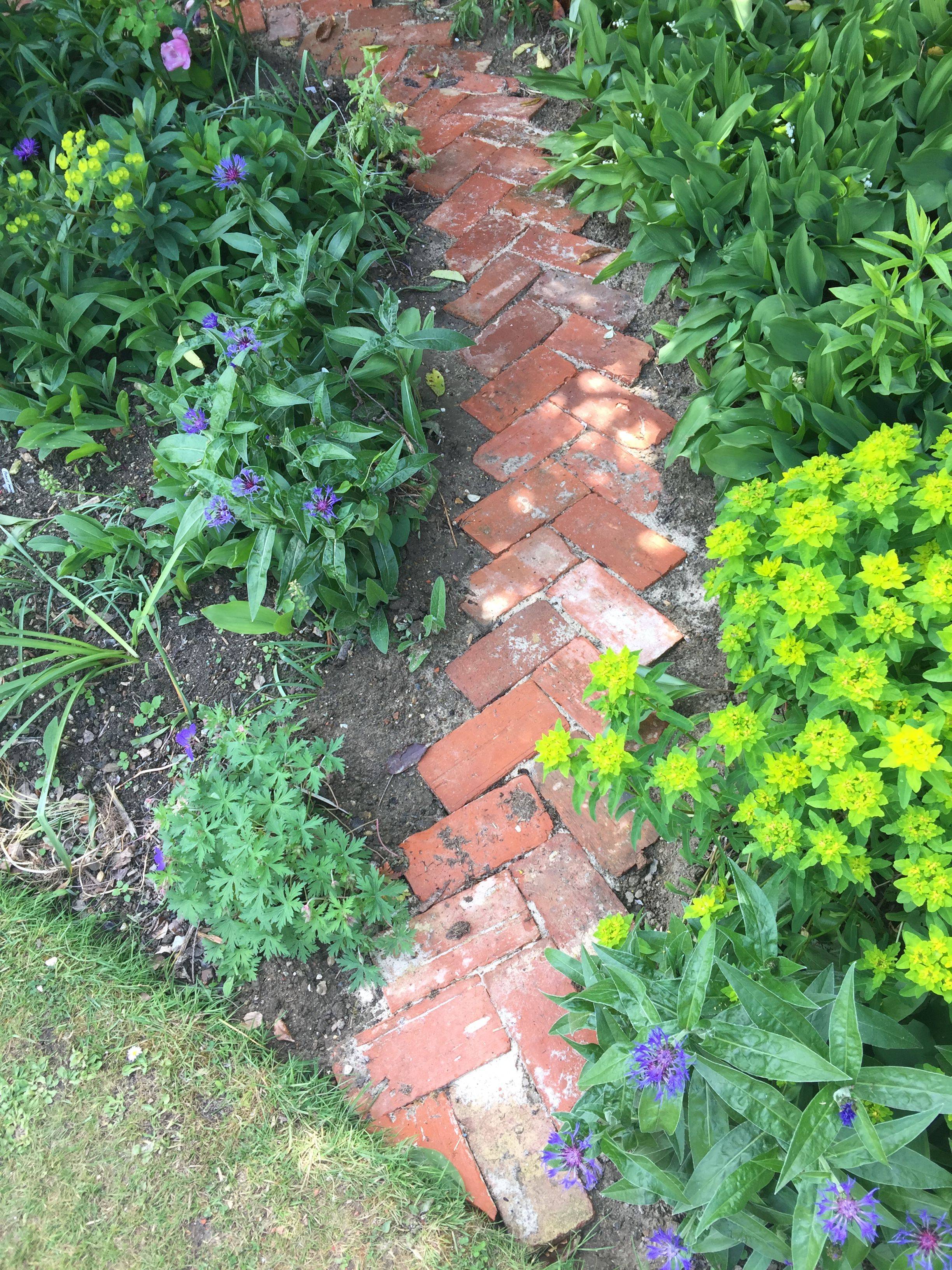 Cozy Small Vegetable Garden Ideas