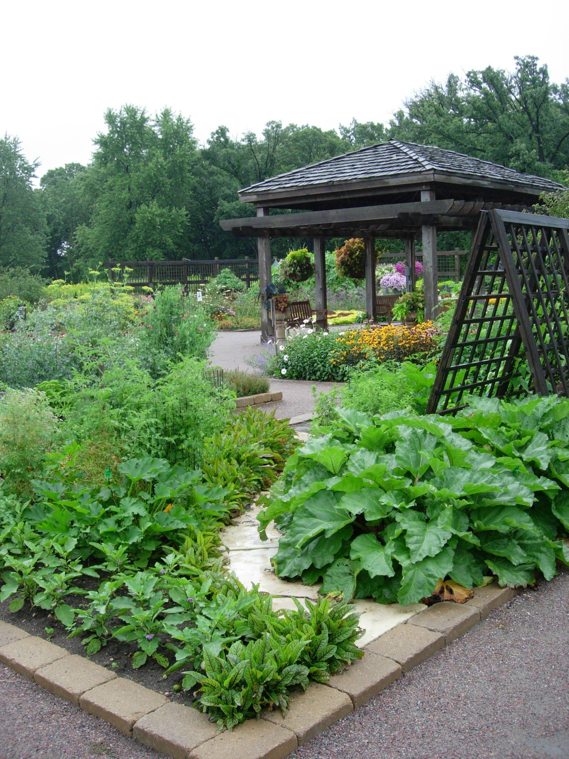 Flower Bed Patio Backyard Cheap Garden Design