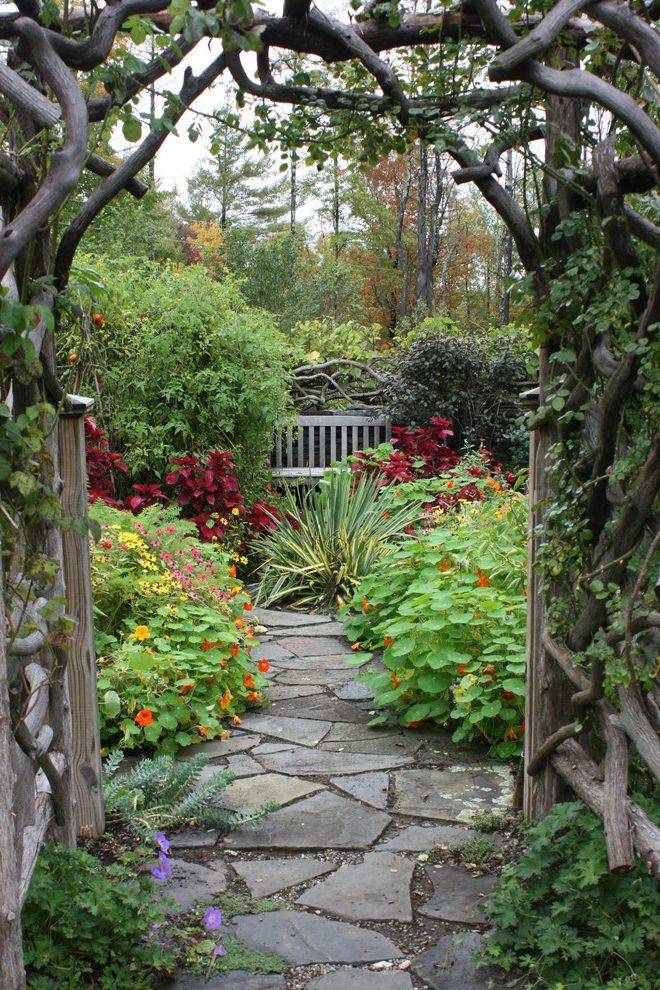 Balcony Gardening Videos