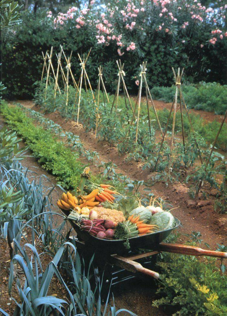 Cottage Core Aesthetic Garden Layout