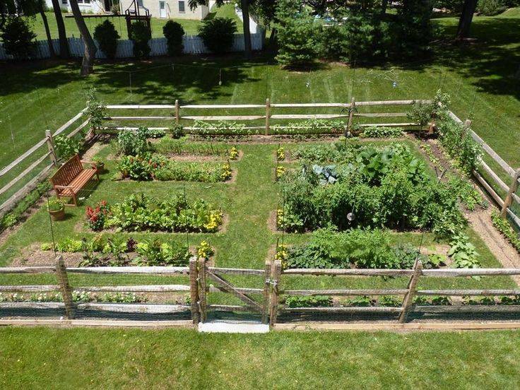 Edible Landscaping Plants