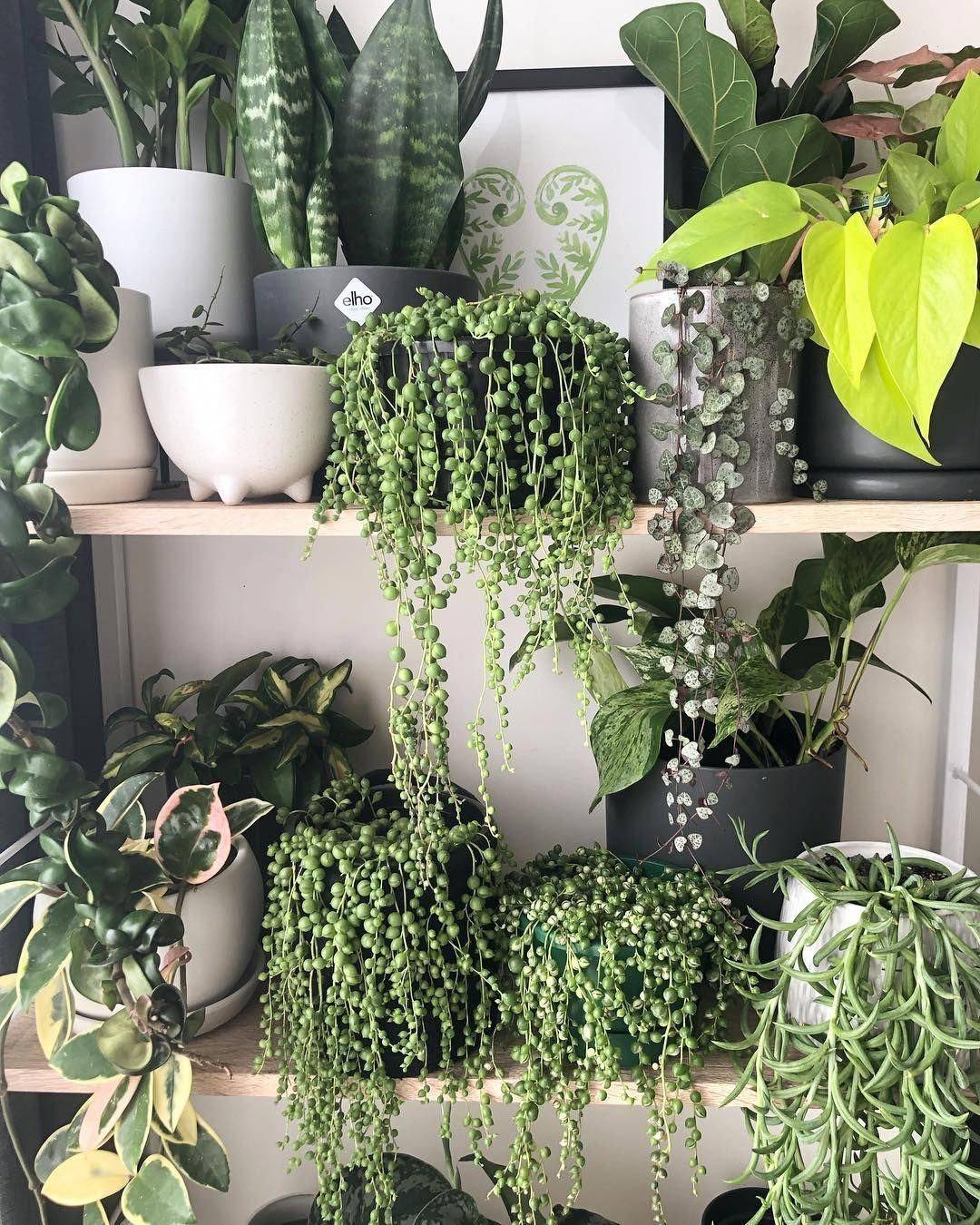 Simple Diy Vegetable Garden Design Ideas