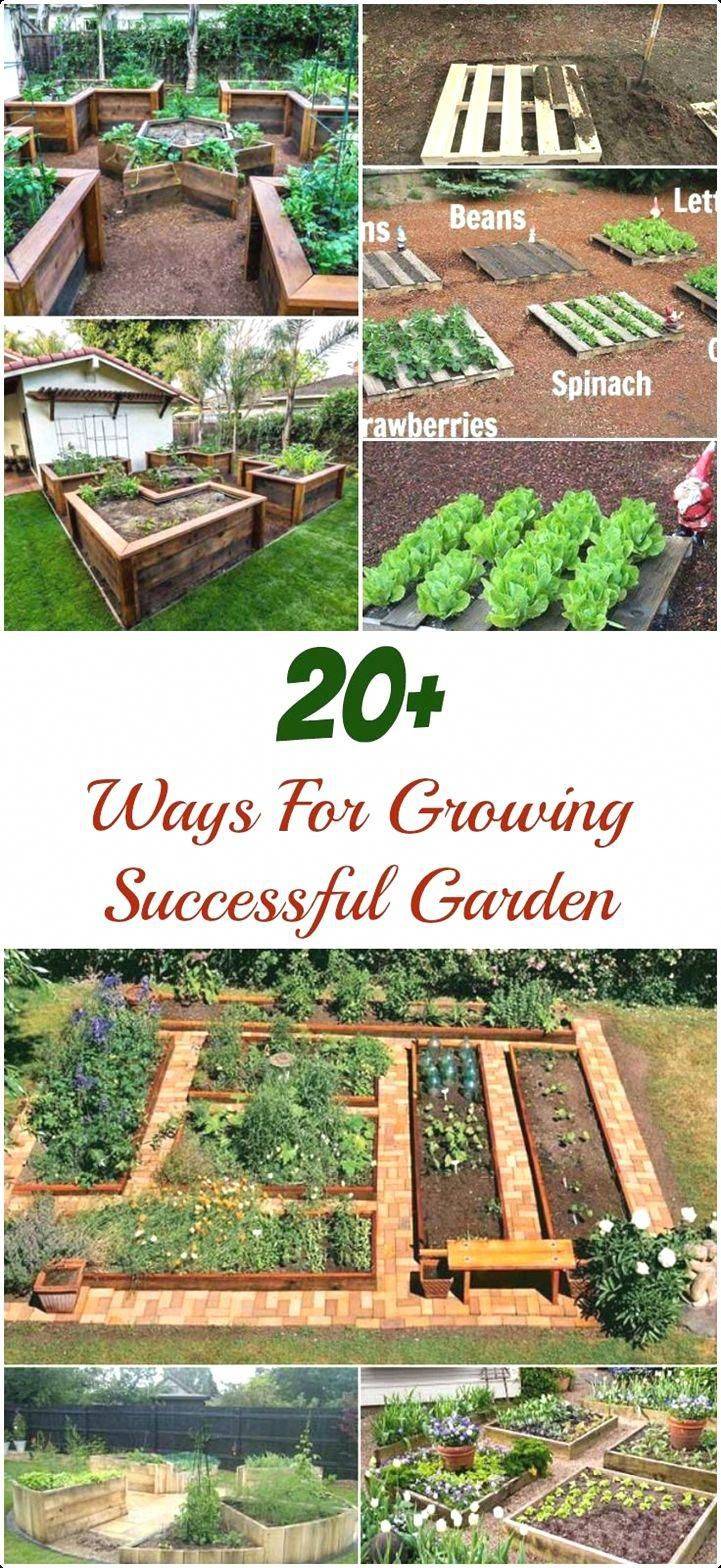 Stunning Container Vegetable Garden Design Ideas