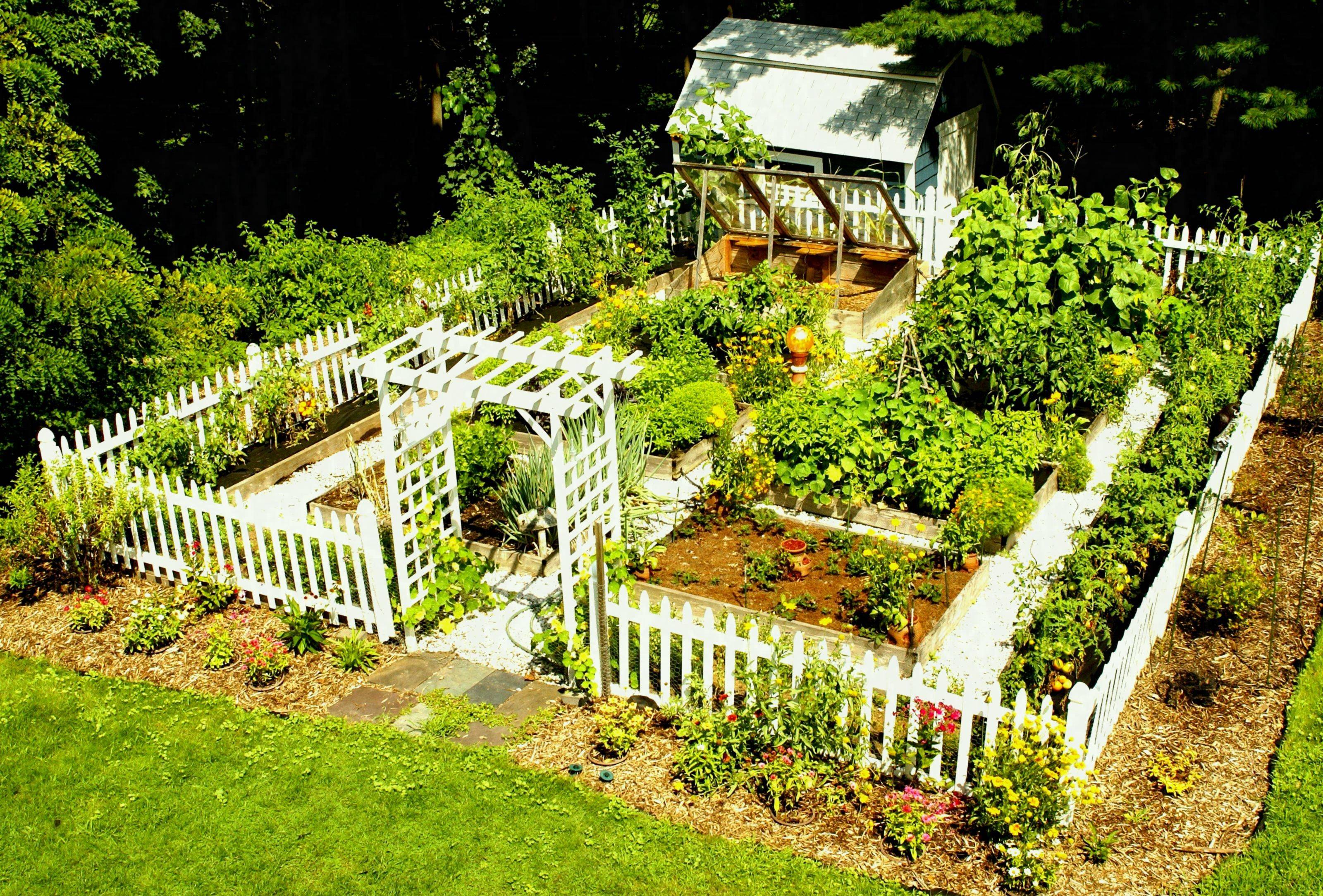 Inspiring Small Vegetable Garden Ideas Gardenideazcom