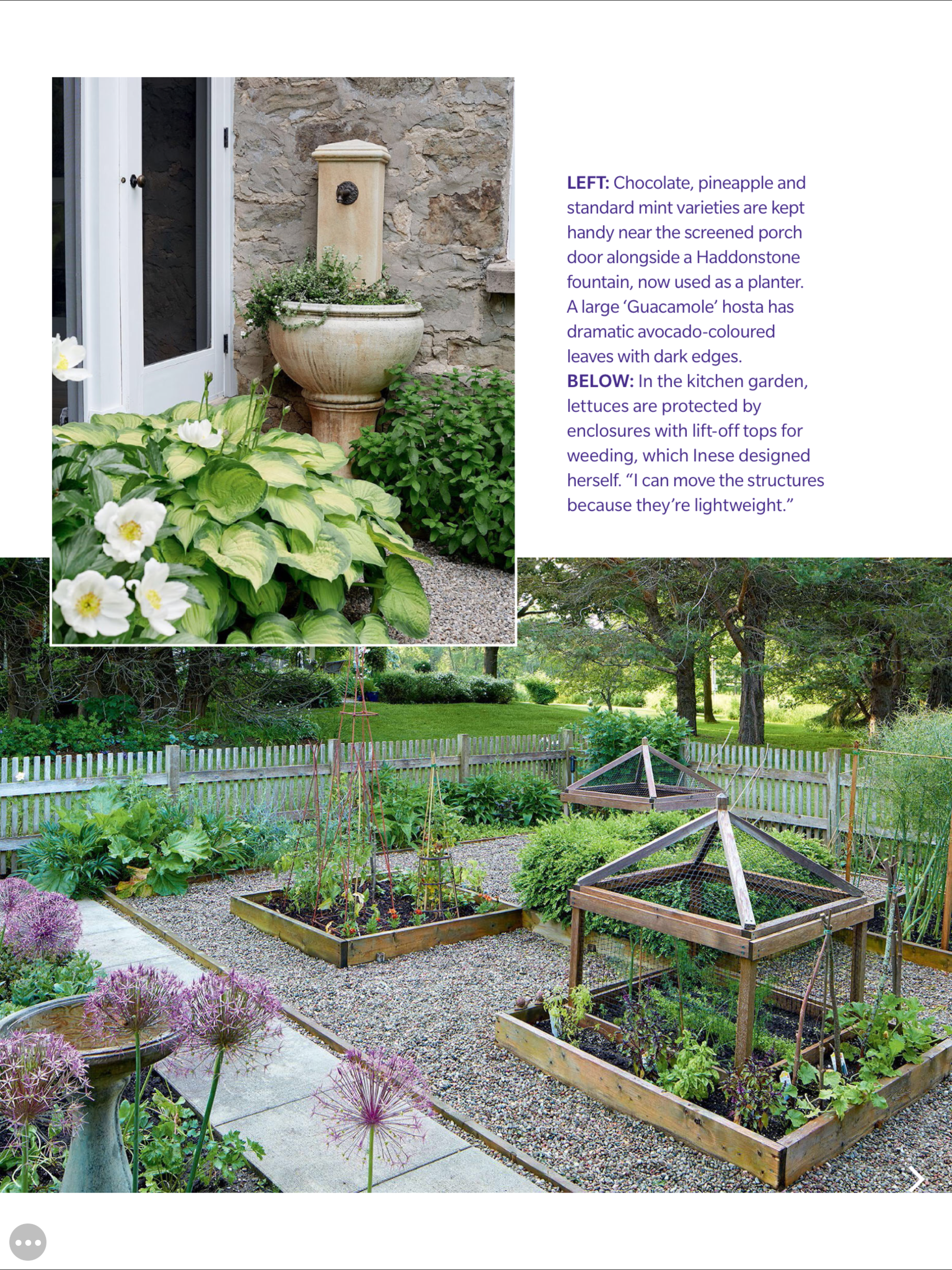 Home Vegetable Garden Ideas Gallery