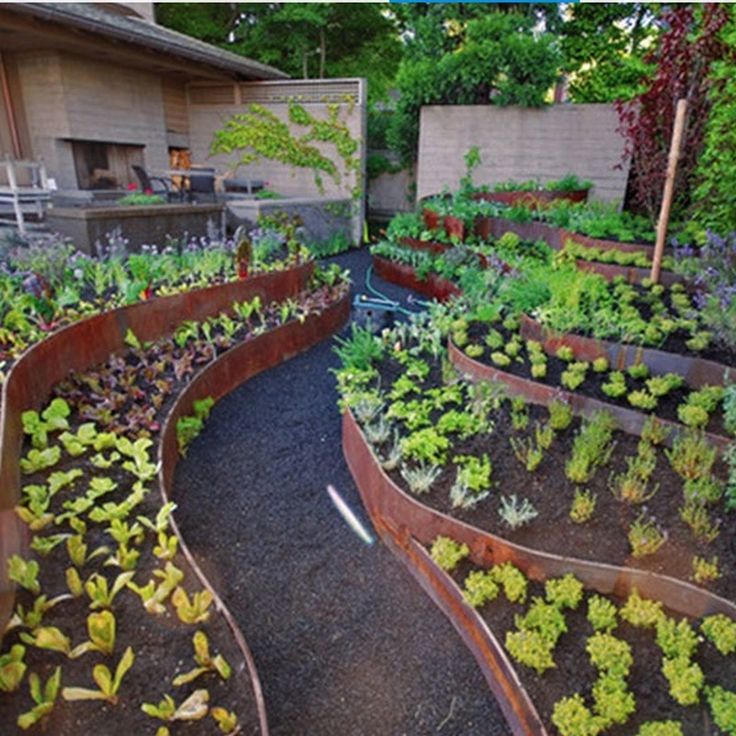 Veggie Garden Design Ideas