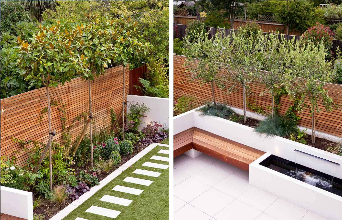 Narrow Town Garden Success