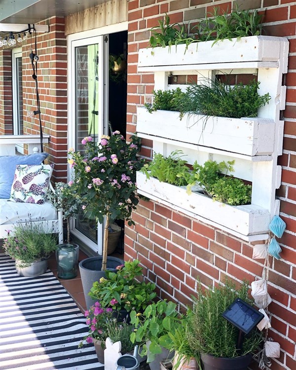 A Small Urban Balcony Garden Arts