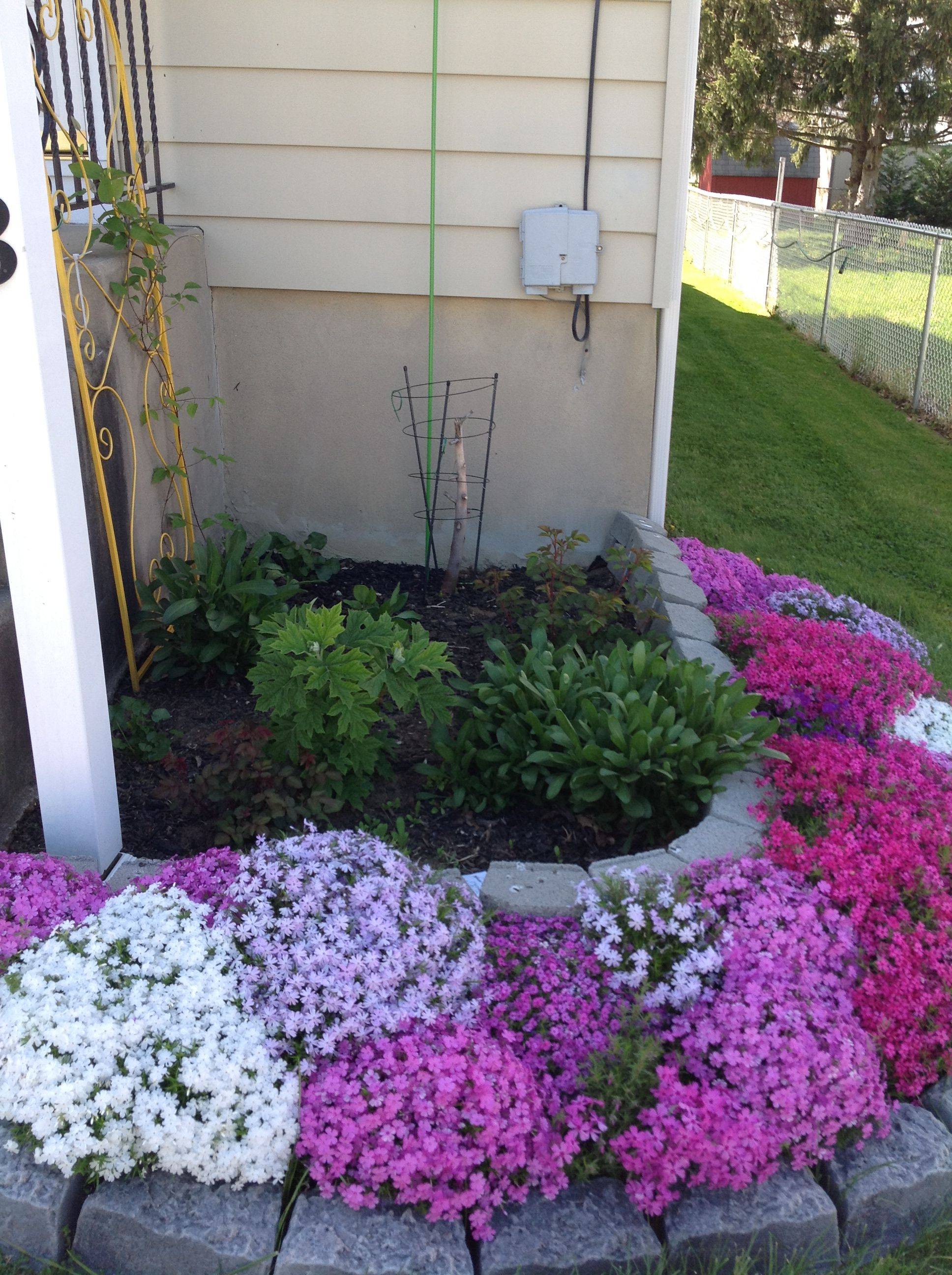 Beauty Front Yard Rock Garden Landscaping Ideas Page