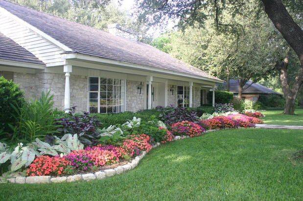 Flowering Shrubs