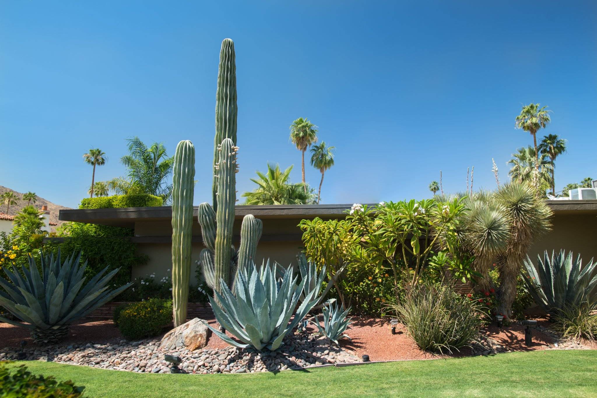 Fabulous Front Yard Rock Garden Ideas