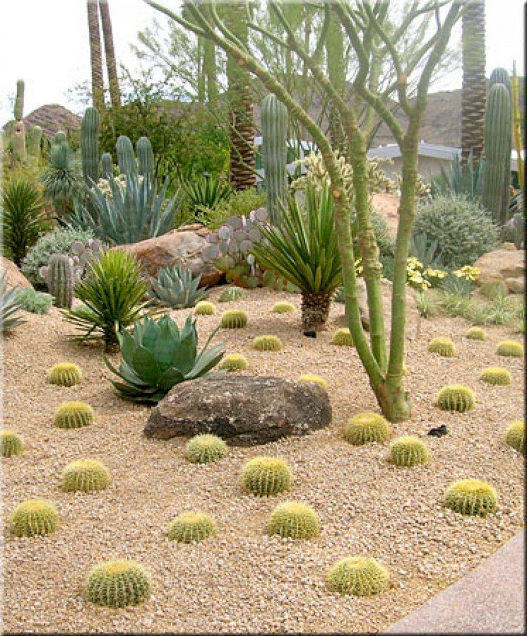 Home Decor Desert Landscaping Ideas Front