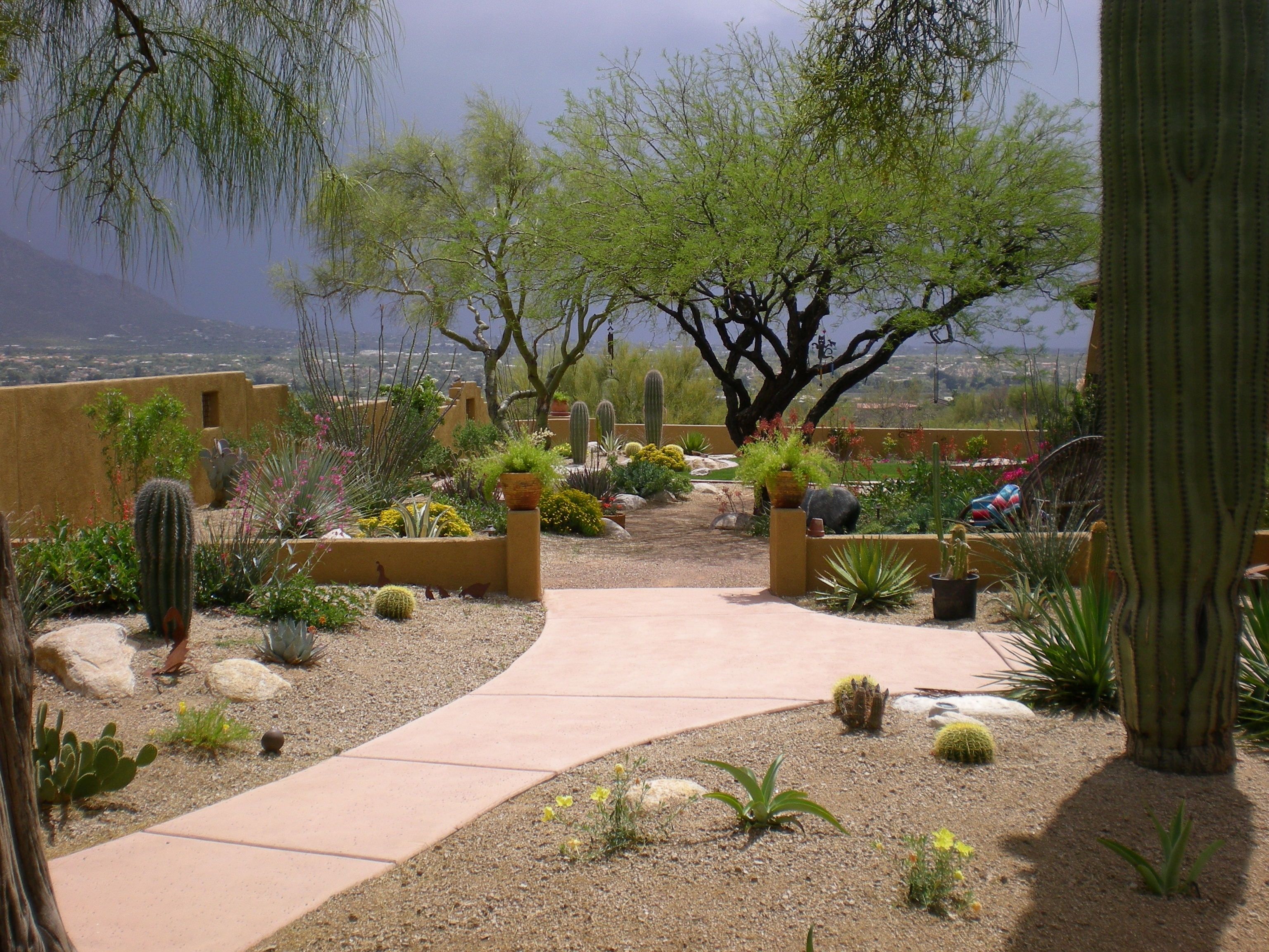 Stunning Desert Garden Ideas
