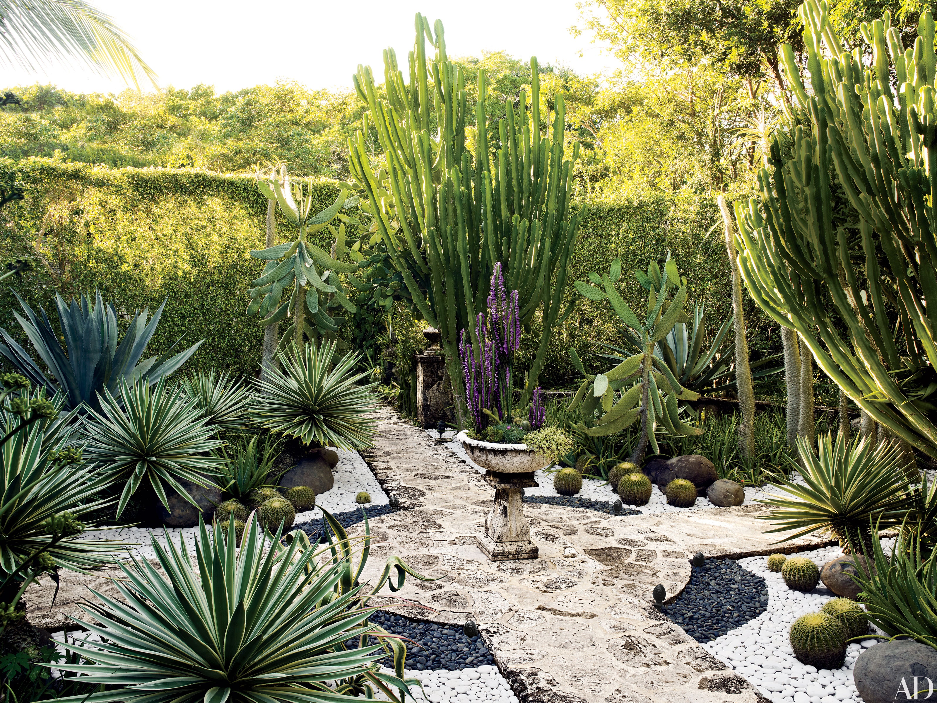 Spectacular Desert Garden Design Ideas