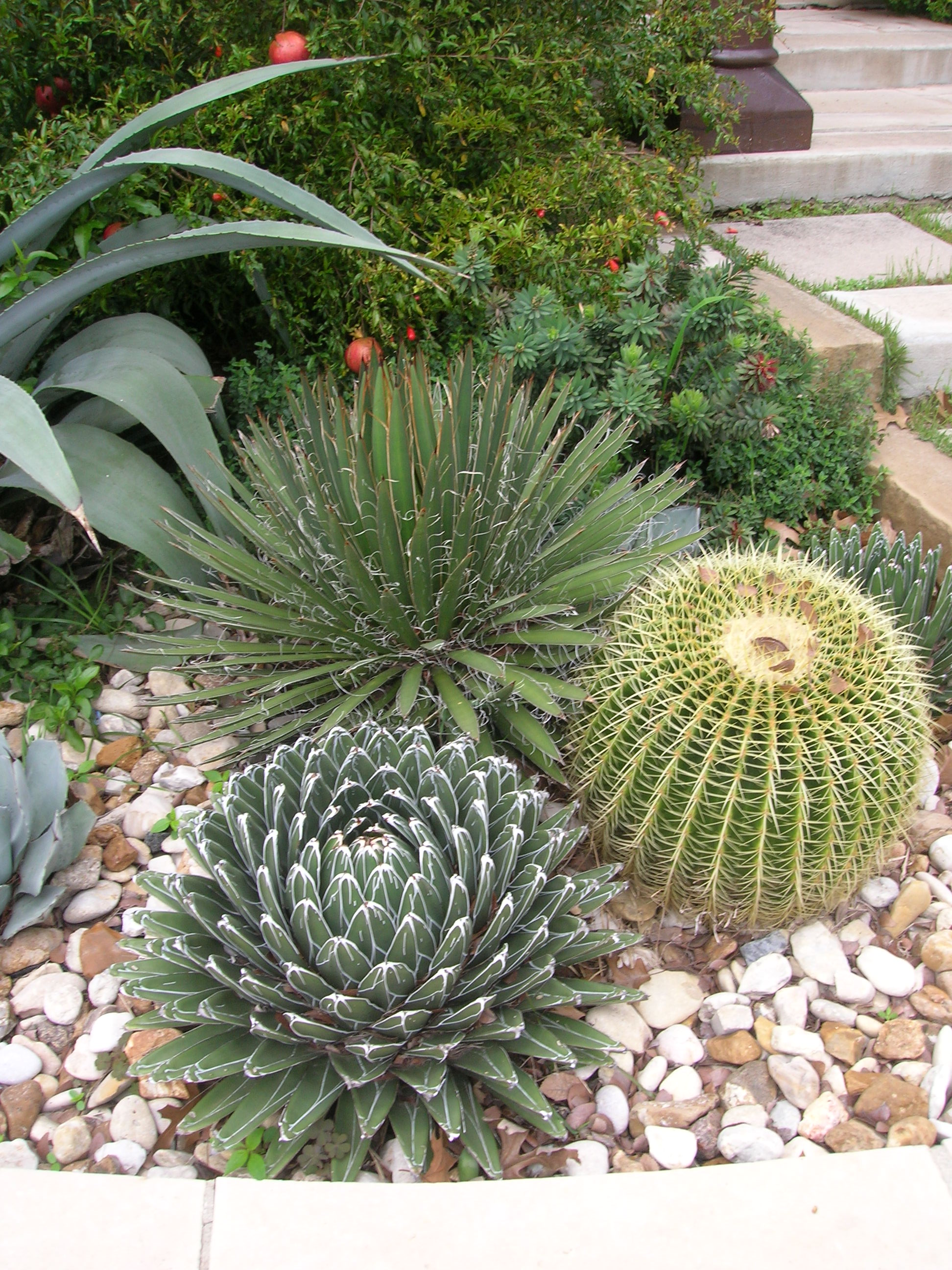 Amazing Desert Garden Landscaping Ideas