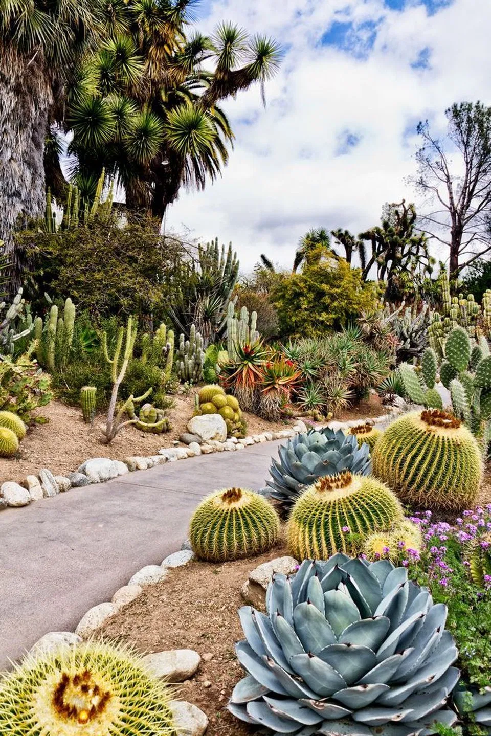 Stunning Desert Garden Landscaping Ideas