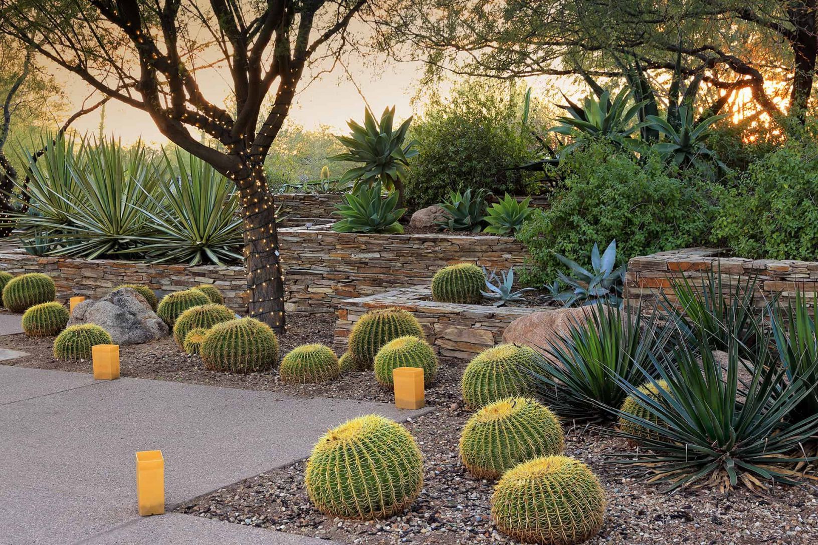 Desert Garden Theme