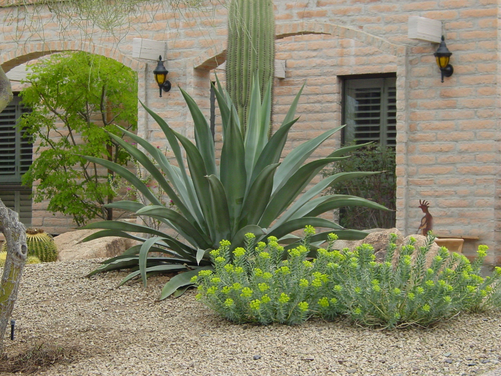 A Desert Landscape Photos