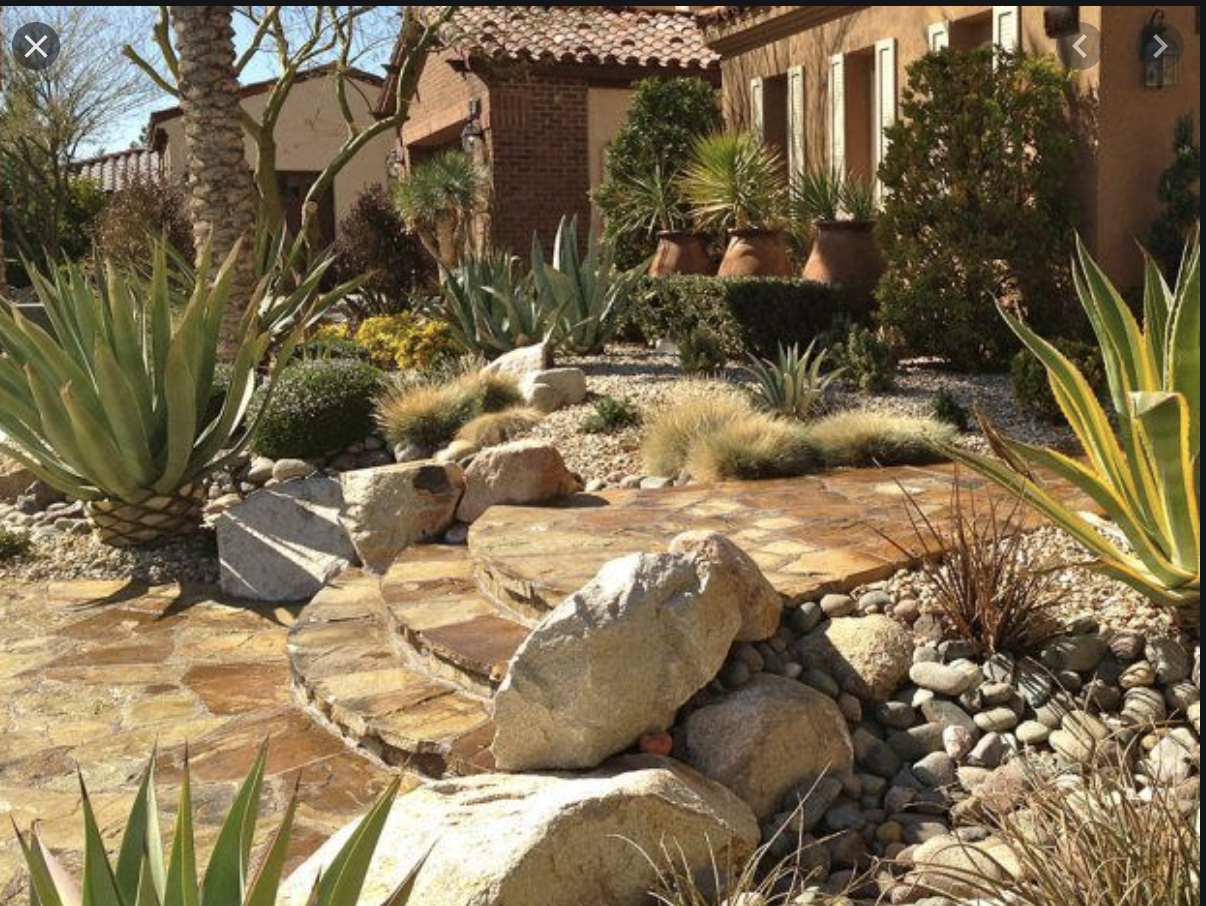 Desert Landscaping