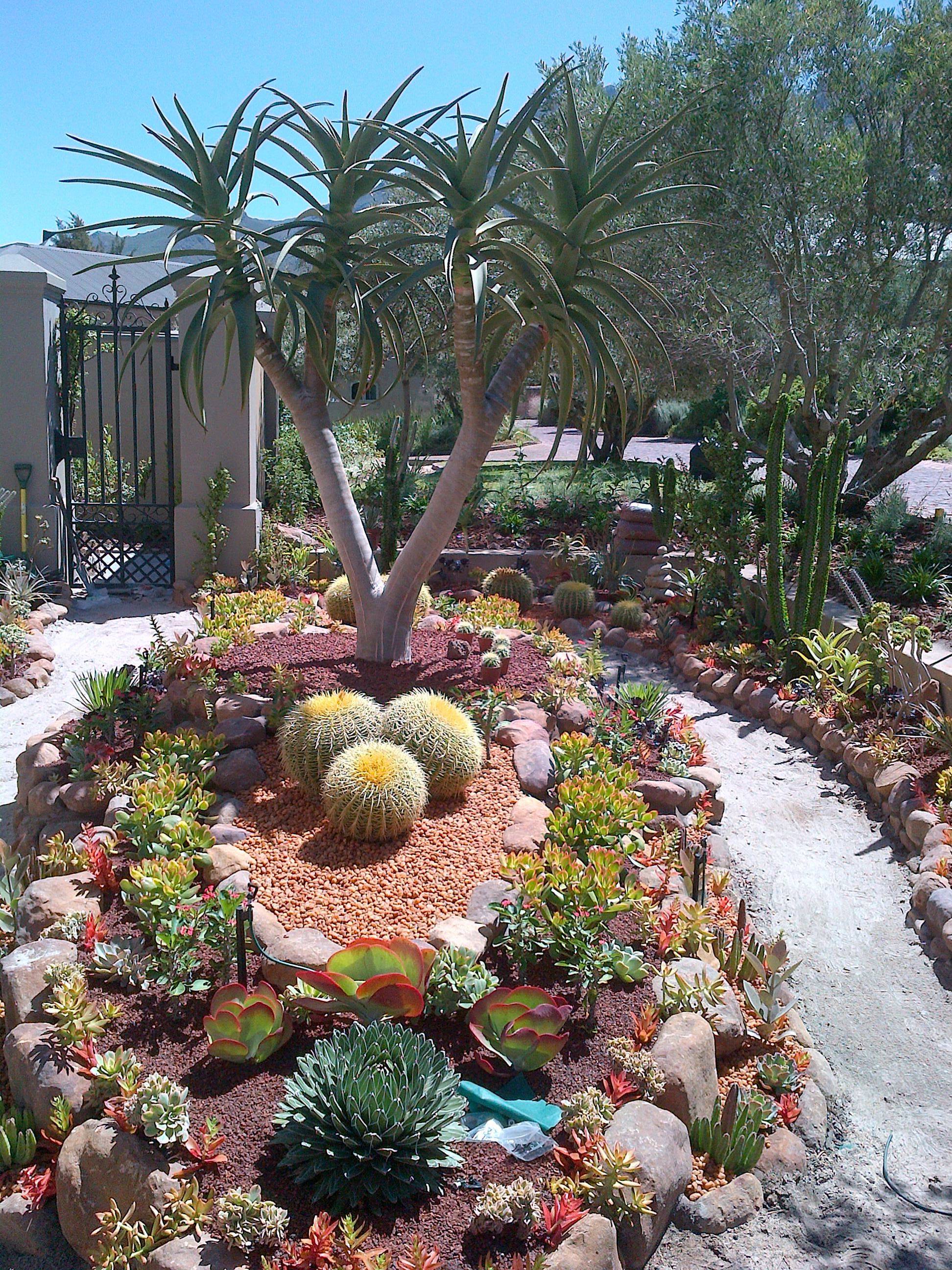 Stunning Desert Garden Ideas