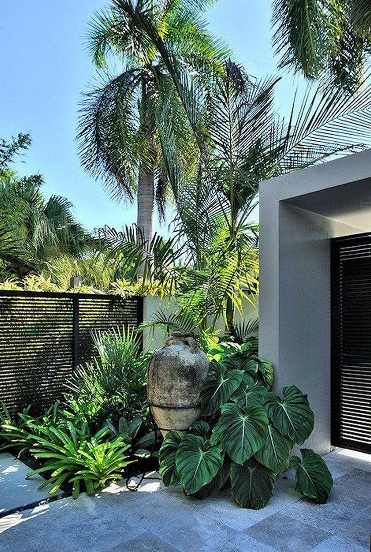 Handsome Tropical Front Yard Landscape Ideas