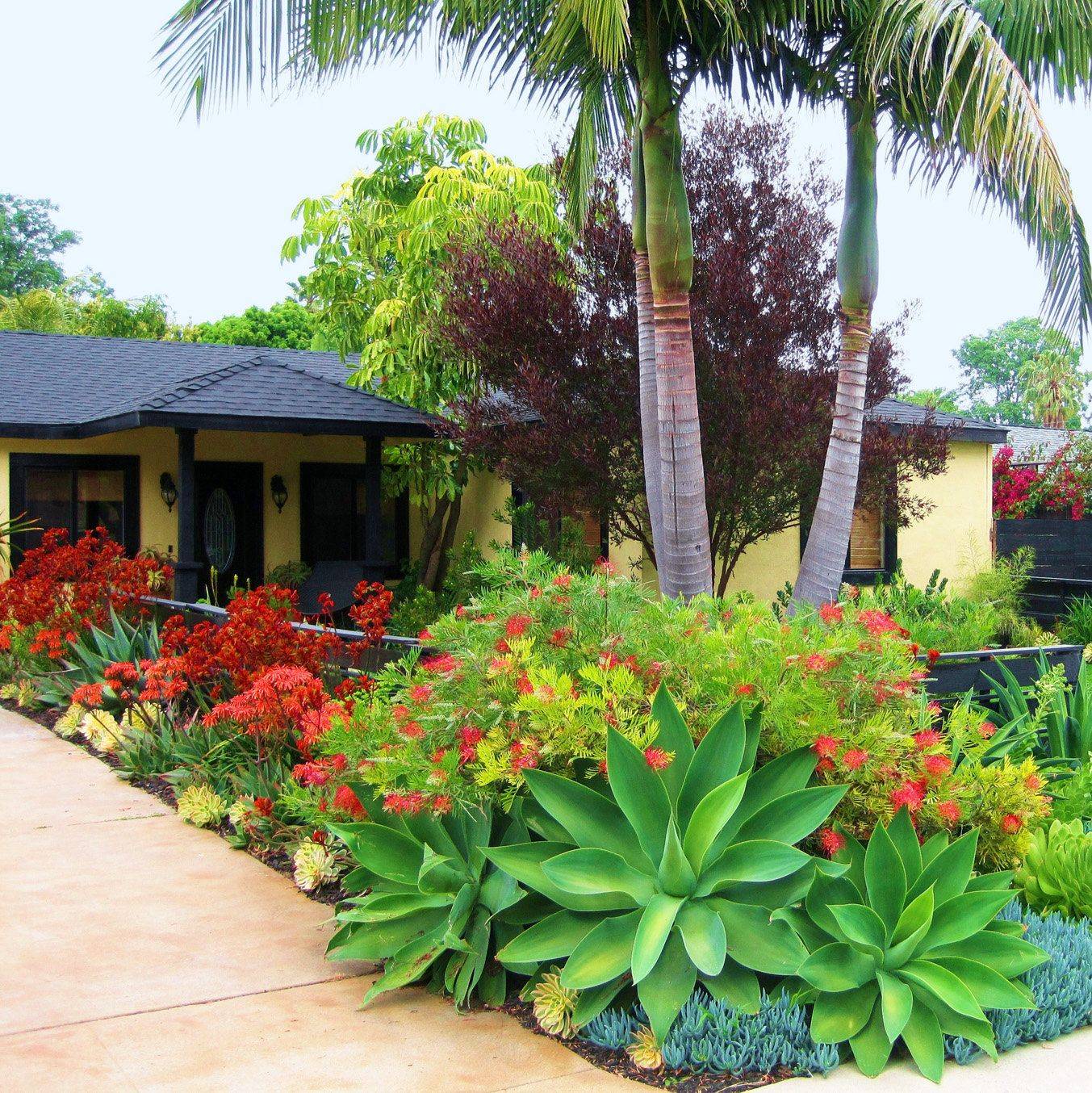 Hawaii Landscaping Ideas
