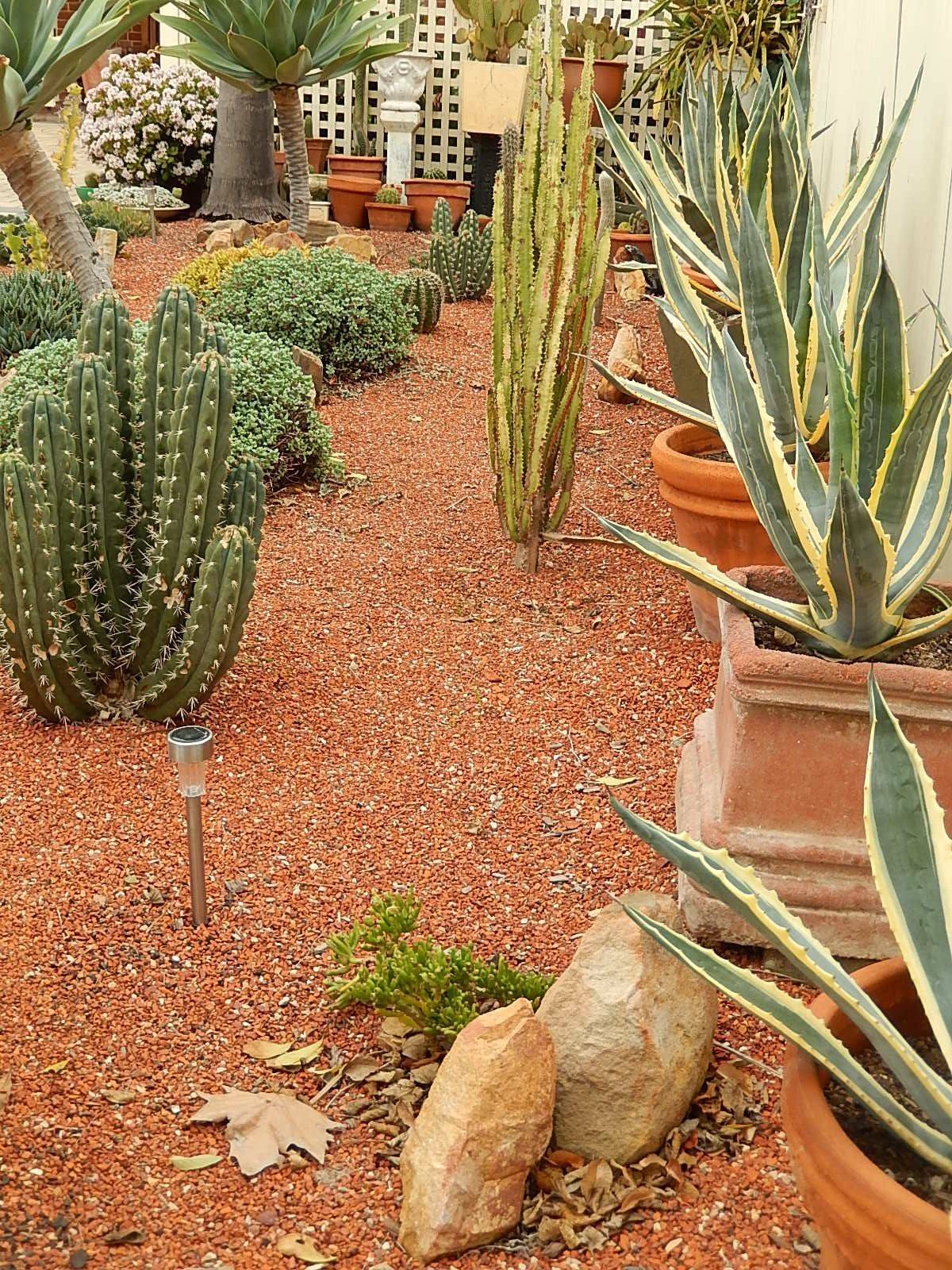 Inexpensive Desert Landscaping Ideas