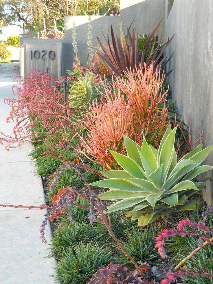 Beautiful Desert Garden Design Ideas