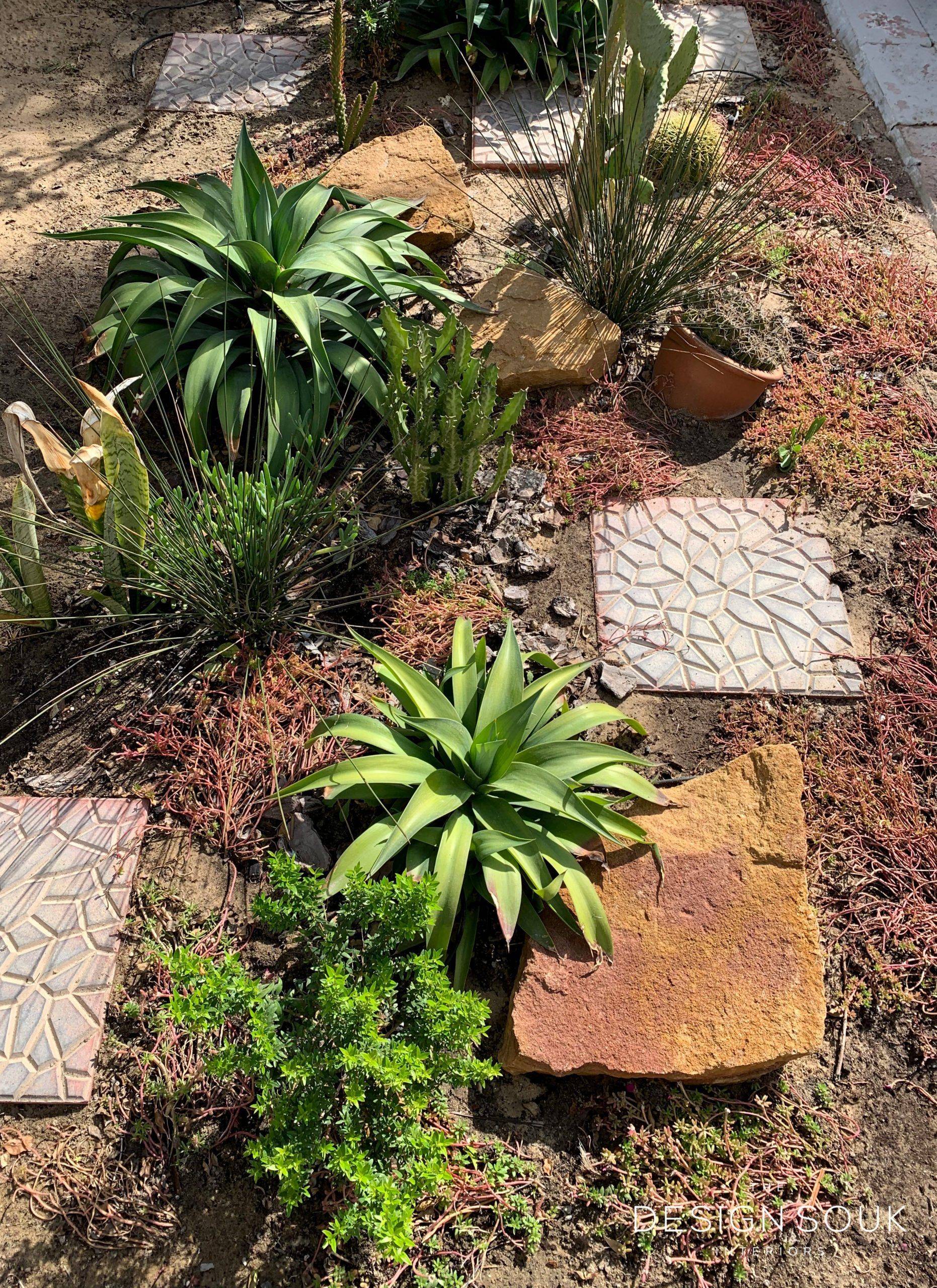 Stunning Desert Garden Landscaping Ideas