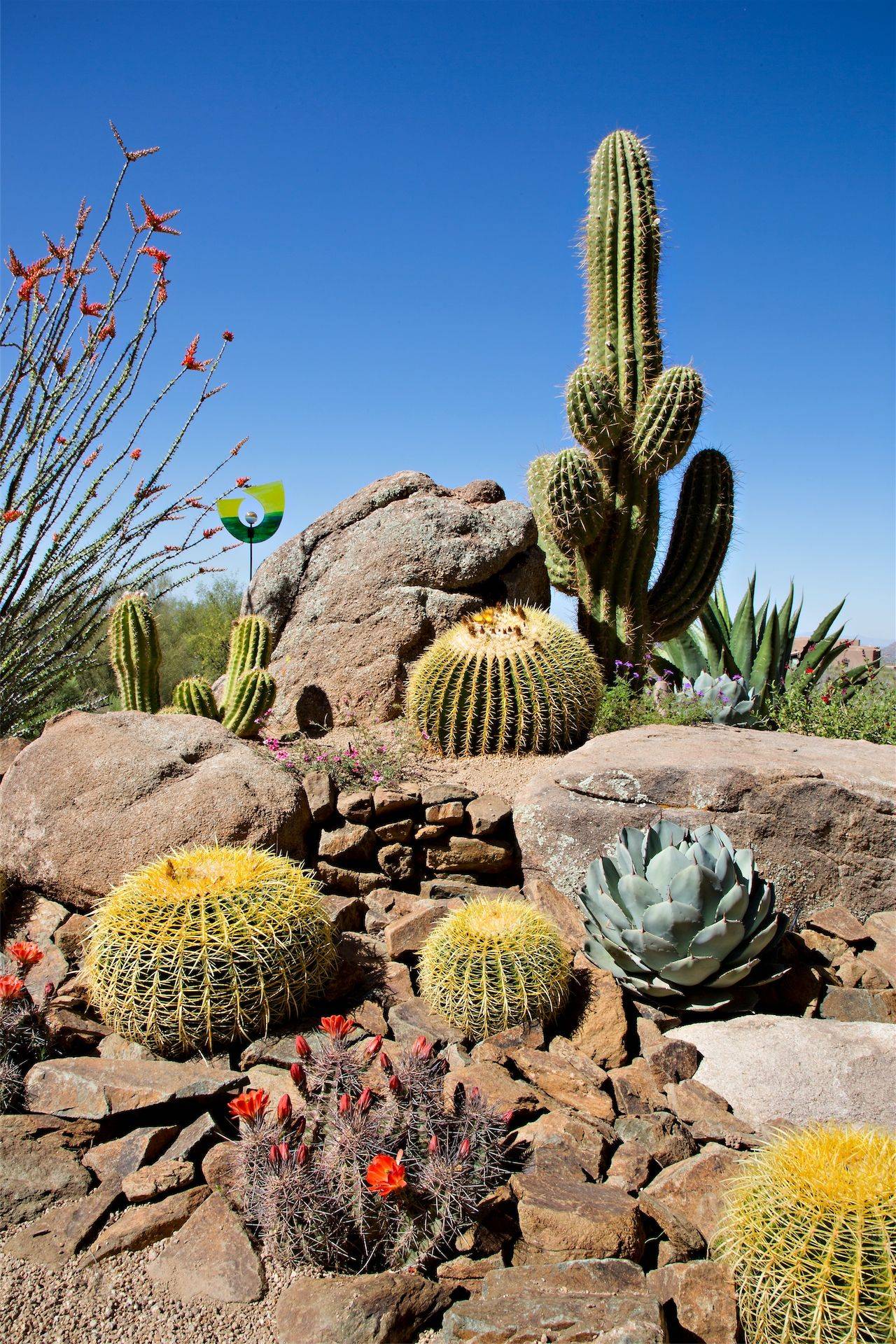 Awsome Backyard Desert Lanscaping Ideas