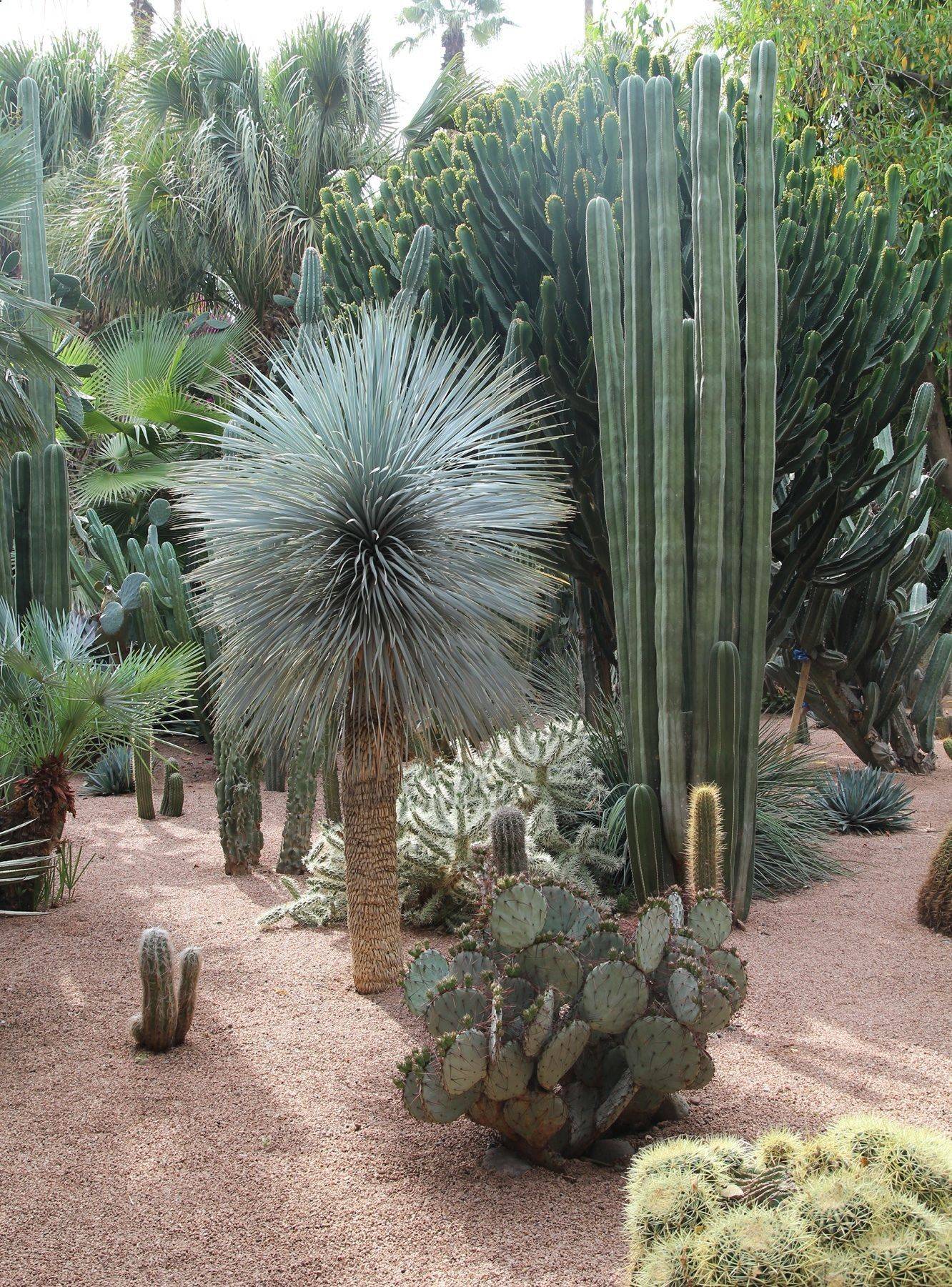 Awesome Awesome Container Garden