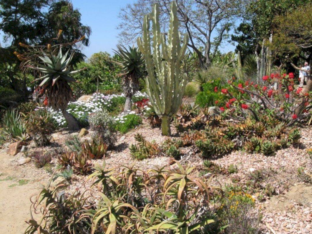 Great Desert Landscaping Tips