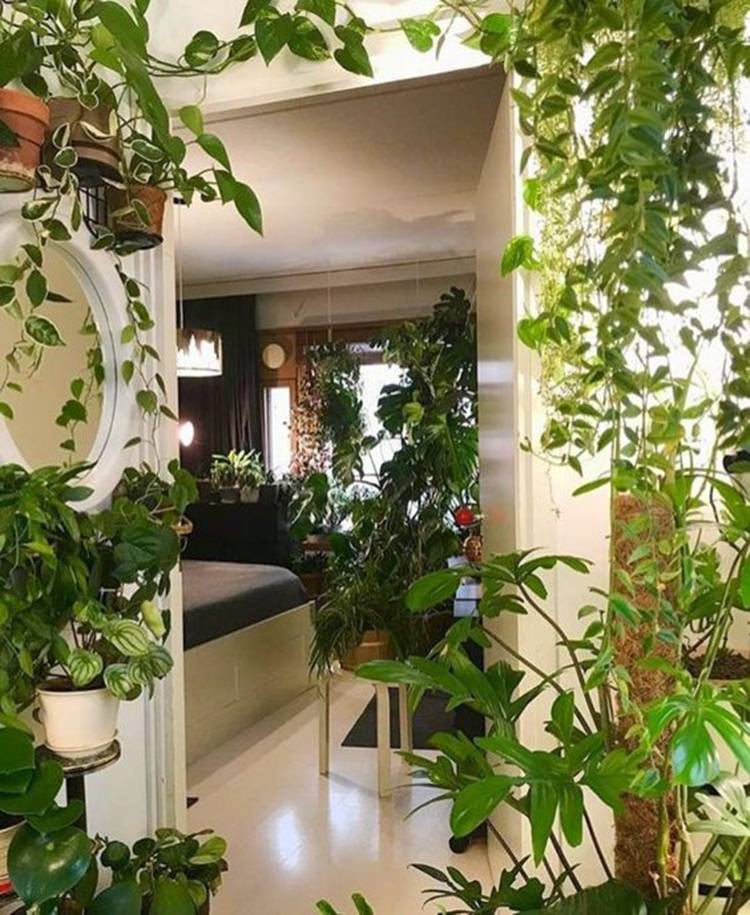 Fantastic Vertical Garden Indoor Decor Ideas