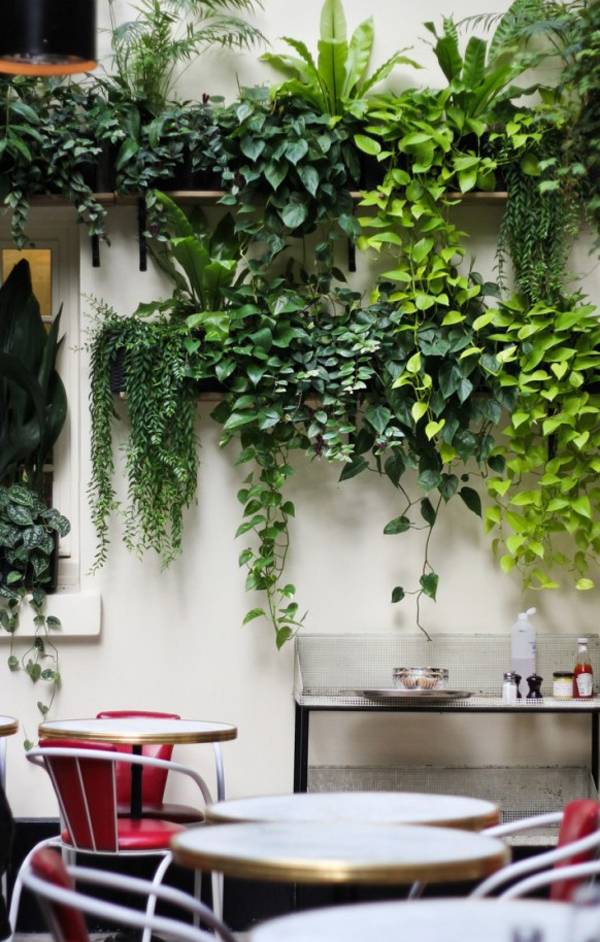 Indoor Garden Design Ideas