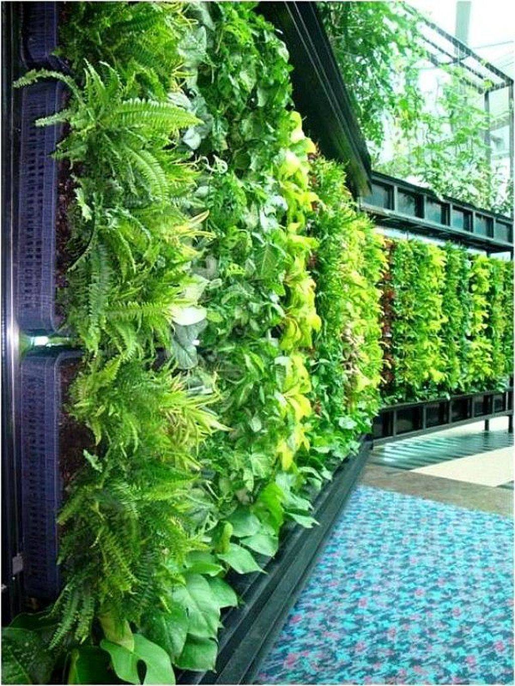 Awesome Indoor Hydroponic Wall Garden Design Ideas