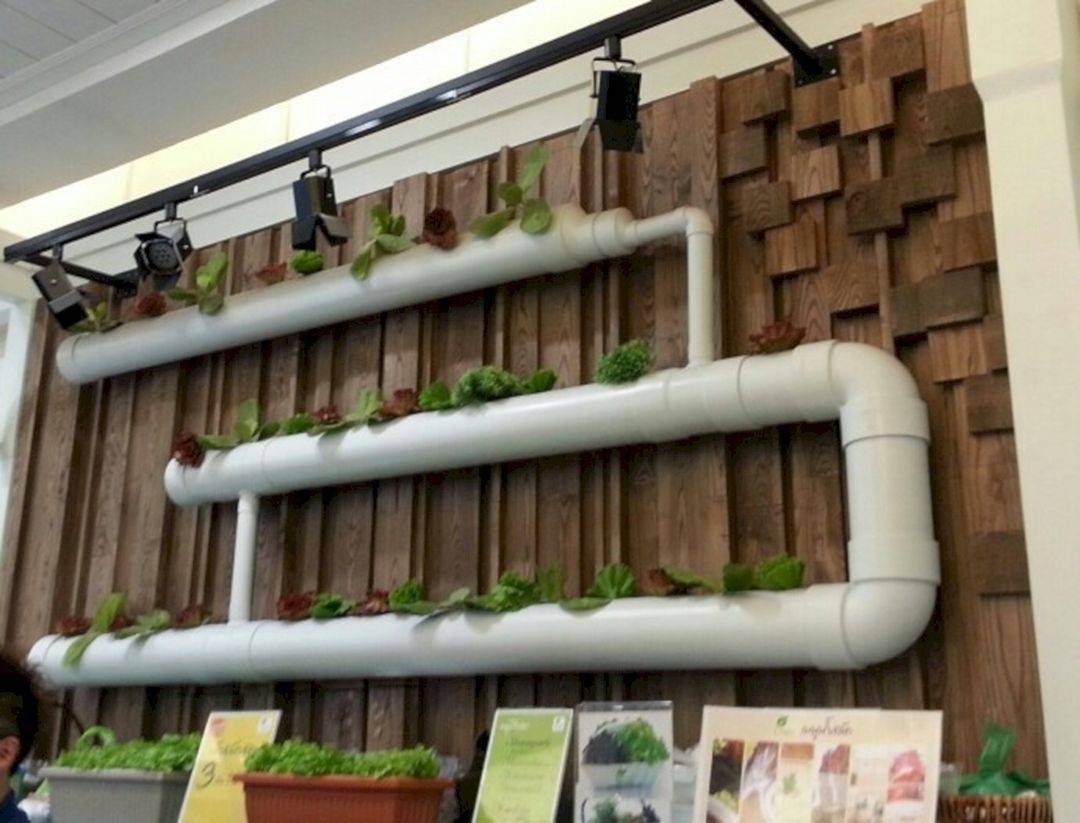 Awesome Indoor Hydroponic Wall Garden Design Ideas