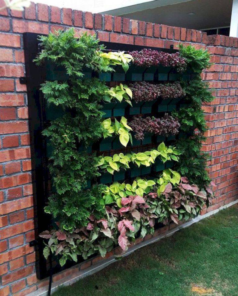 21 Hydroponic Wall Garden Ideas You Must Look SharonSable
