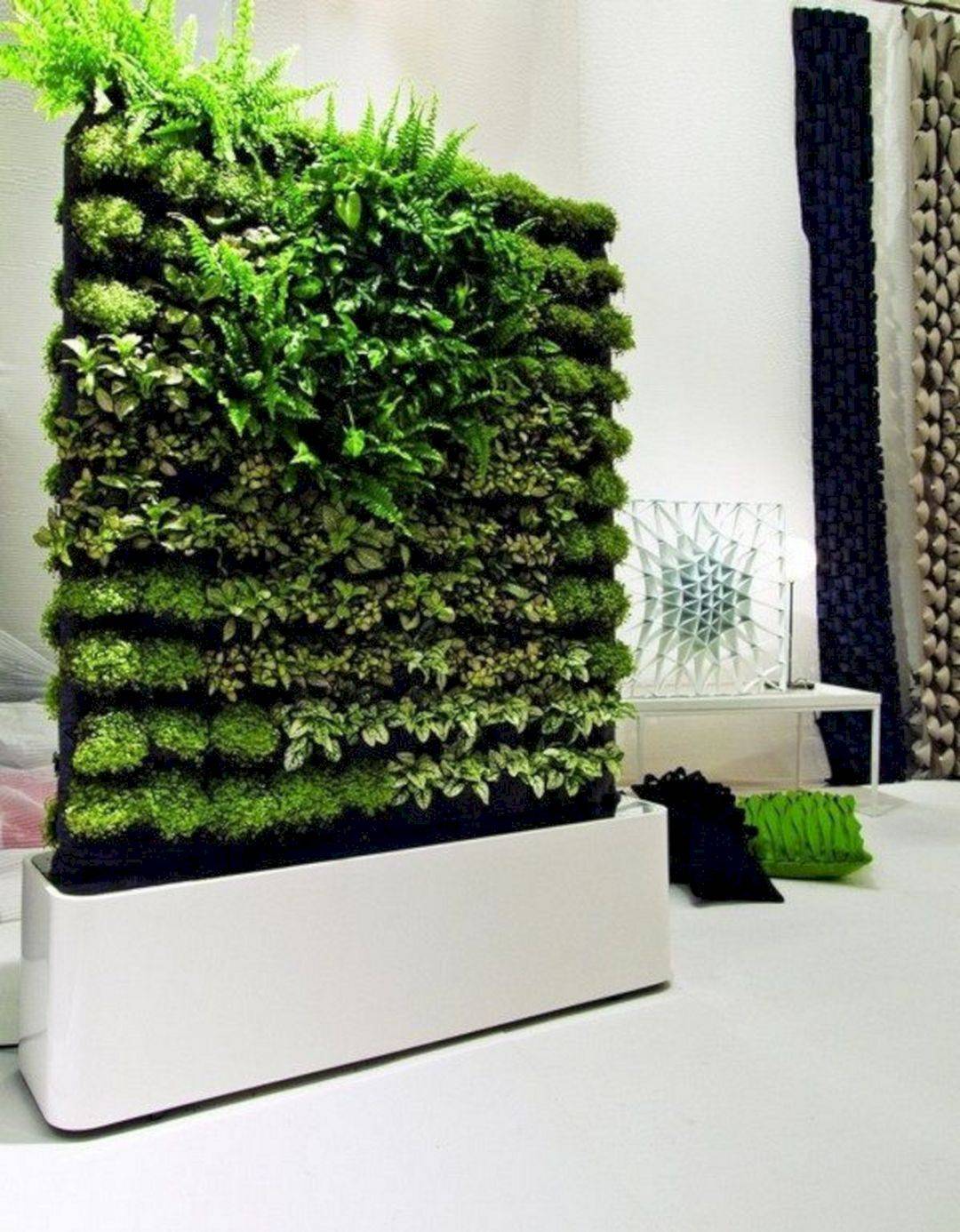 Hydroponic Wall Garden Design