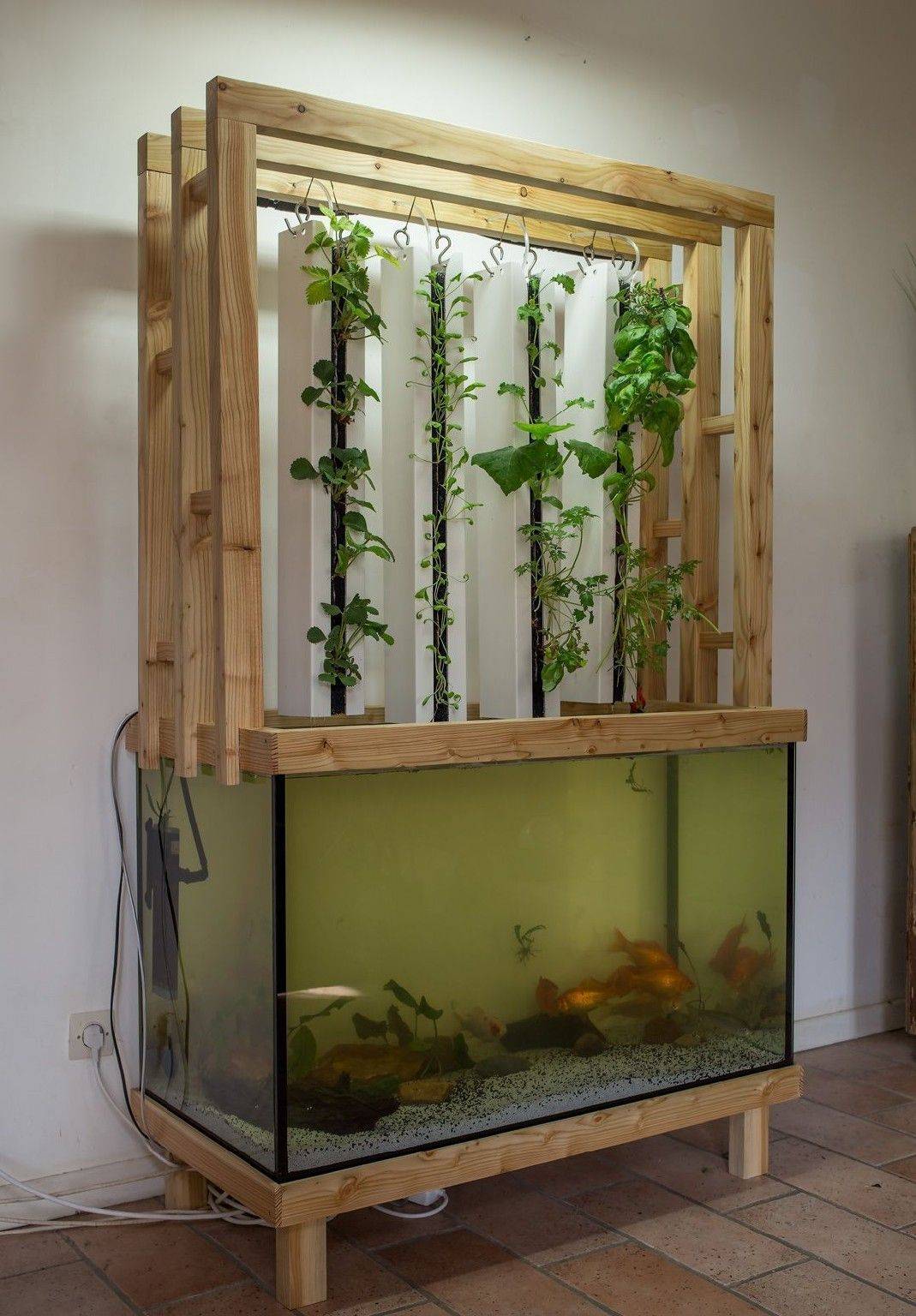 Best Hydroponic Garden Ideas